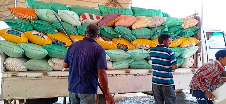 صوامع وشون المحافظات تواصل استلام القمح من المزارعين‎ (4)
