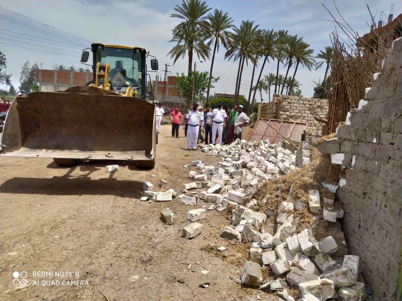 إزالة التعديات على الأراضى الزراعية بالبحيرة (2)