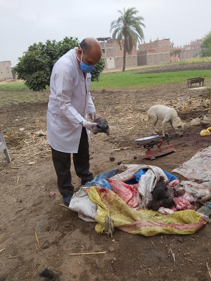 ضبط لحوم غير صالحة للإستهلاك الآدمى (2)