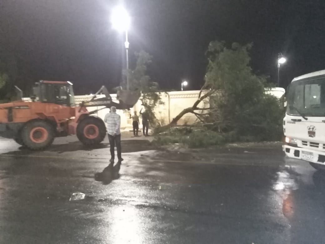 رفع وإزالة 10 أشجار ولافتات إعلانات بسبب الطقس السئ بمدينة الأقصر