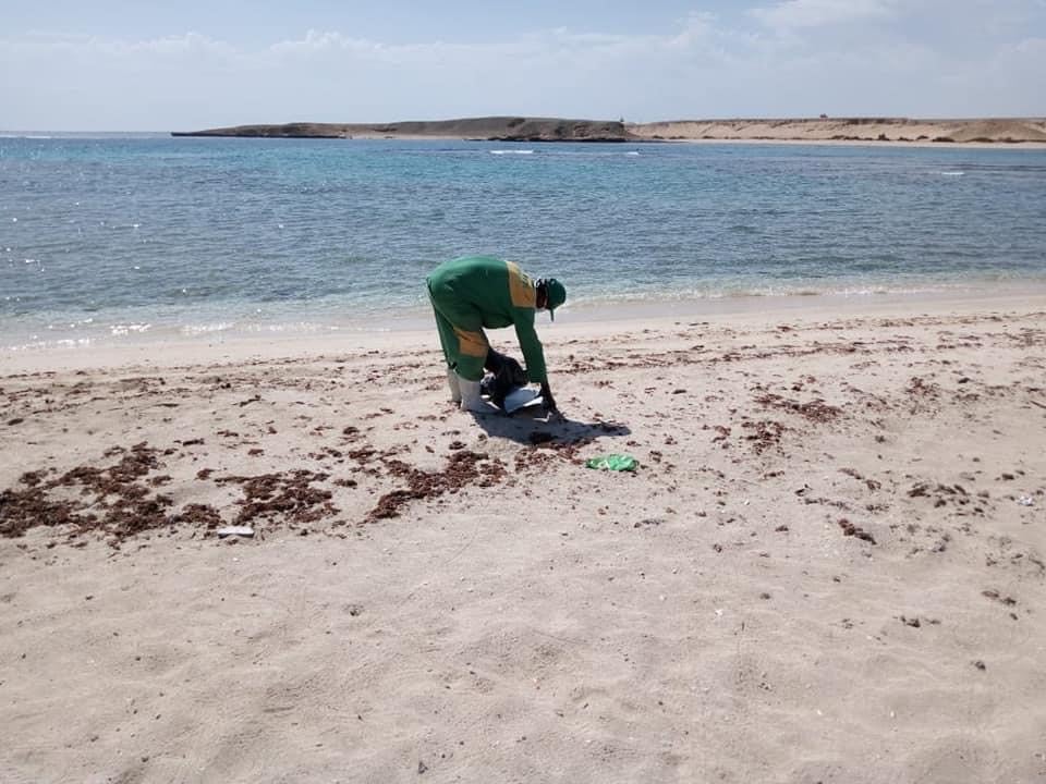 جانب من اعمال النظافة بالشواطئ (4)
