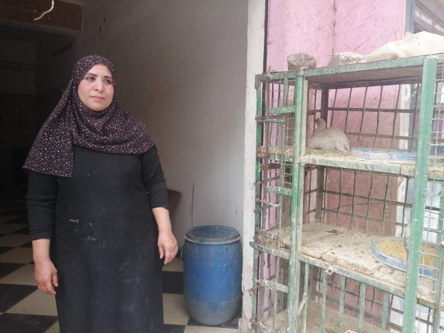 أصحاب المحلات ببنى سويف (2)