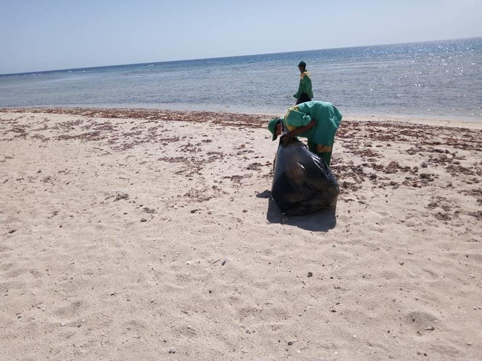 جانب من اعمال النظافة بالشواطئ (3)