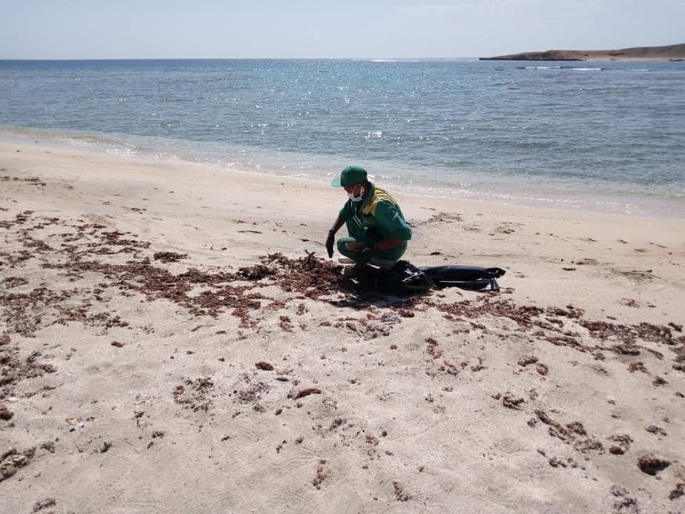 جانب من اعمال النظافة بالشواطئ (2)