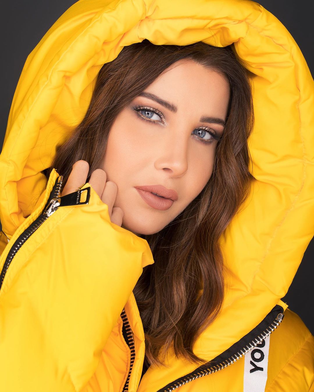 nancyajram_79389205_202478184123290_3193663818986523649_n