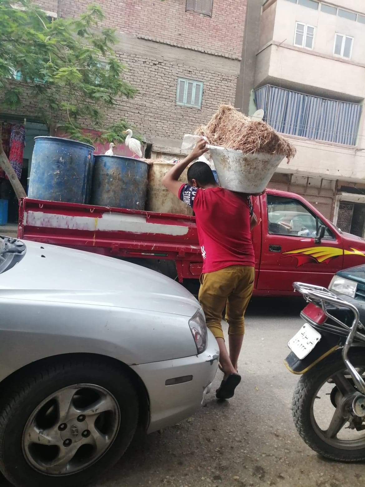 أصحاب المحلات ببنى سويف (3)