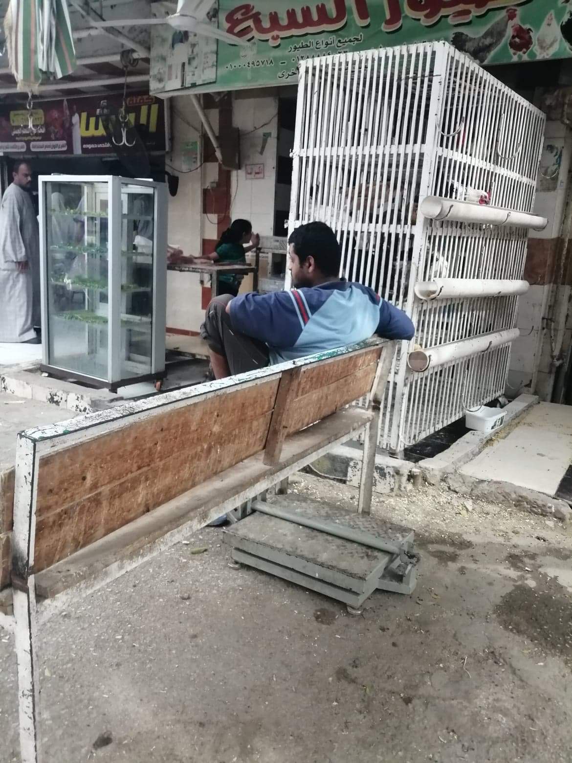 أصحاب المحلات ببنى سويف (1)