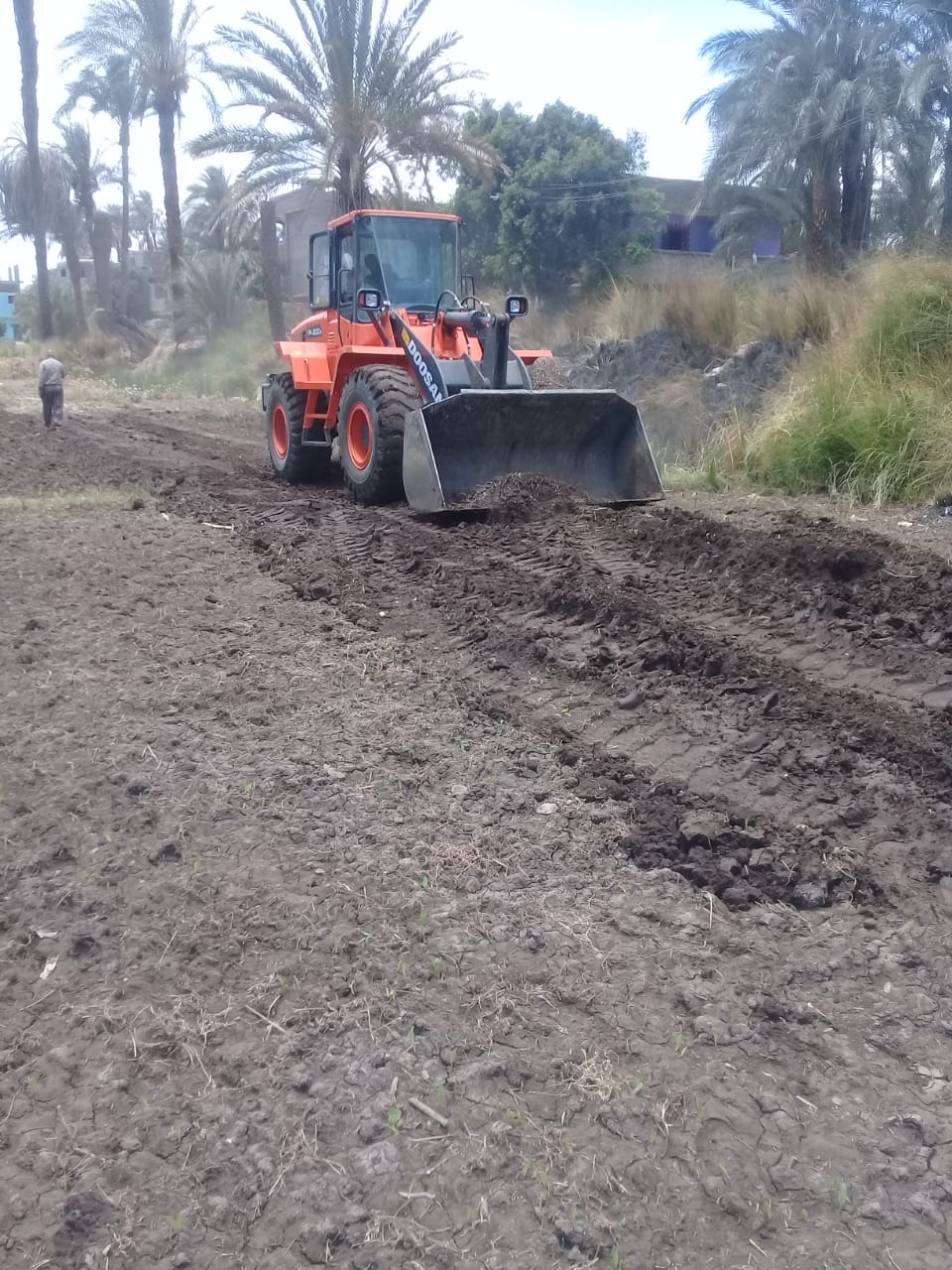 رئيس مدينة الزينية إزالة تعديات بأرض أملاك الدولة