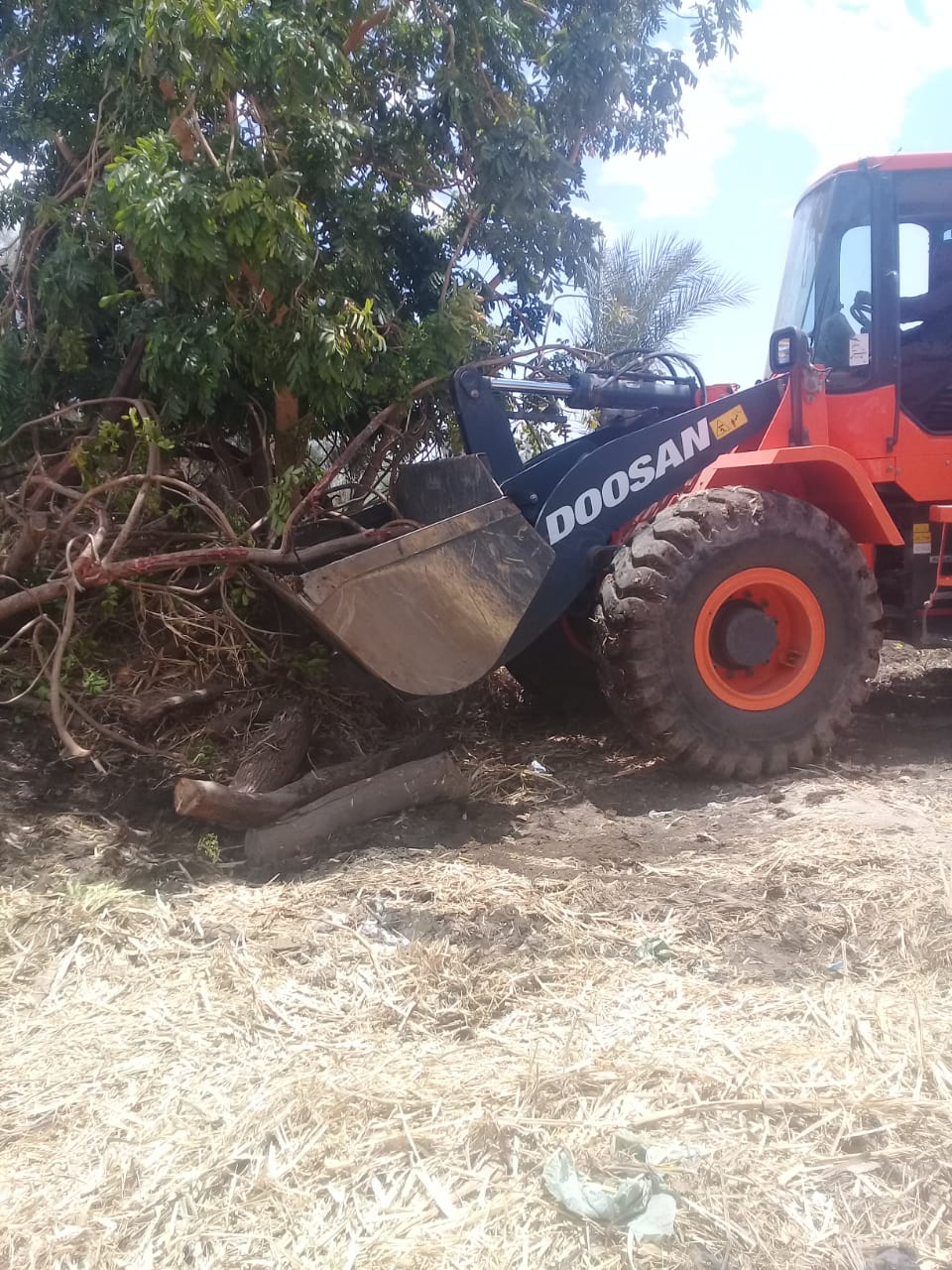 جانب من إزالة التعديات بمدينة الزينية