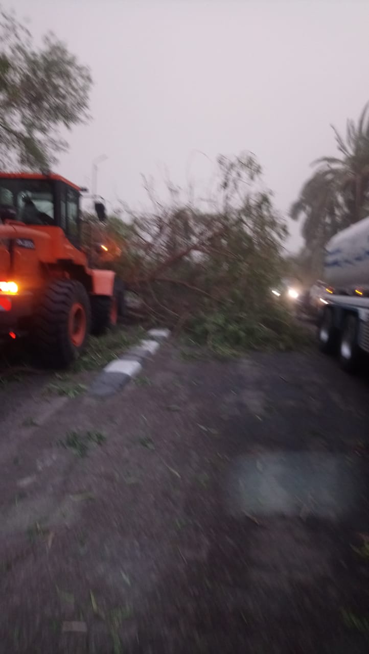 الأجهزة المحلية بالأقصر تحتوي الآثار السلبية لموجة الطقس المتقلب بالأقصر الأجهزة المحلية بالأقصر تحتوي الآثار السلبية لموجة الطقس المتقلب بالأقصر