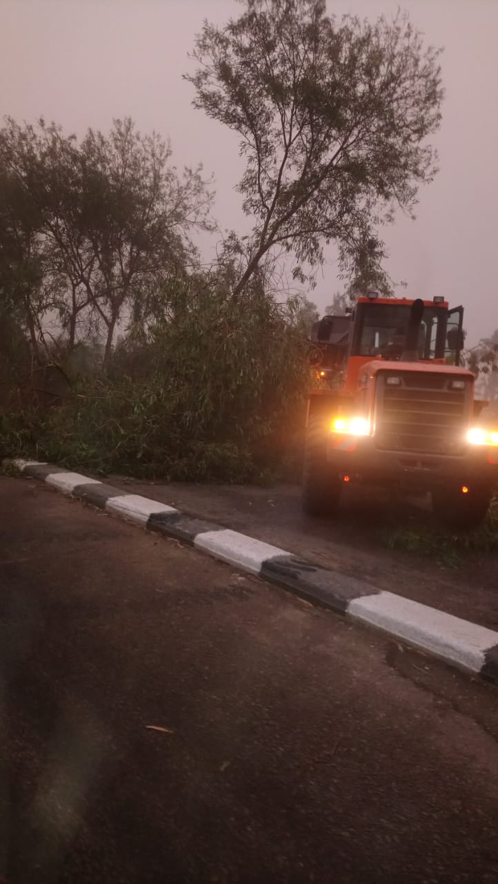 رفع الأشجار والنخيل المتساقط بالطرق وفصل التيار الكهربائي بالمناطق المتضررة رفع الأشجار والنخيل المتساقط بالطرق وفصل التيار الكهربائي بالمناطق المتضررة
