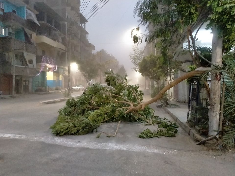 سقوط الأشجار بشوارع الأقصر نتيجة العاصفة الترابية