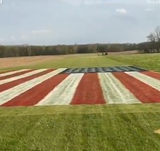 العلم الامريكي داخل الارض الزراعية