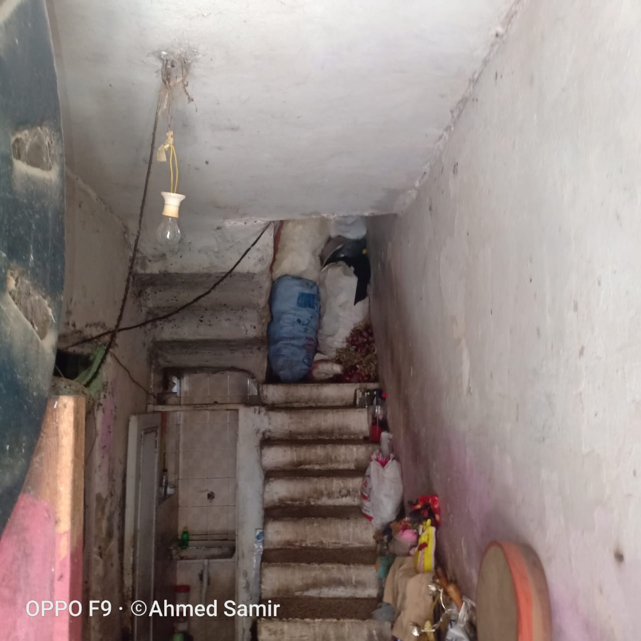  تجميع أحد السكان للقمامة بمنزله  (5)