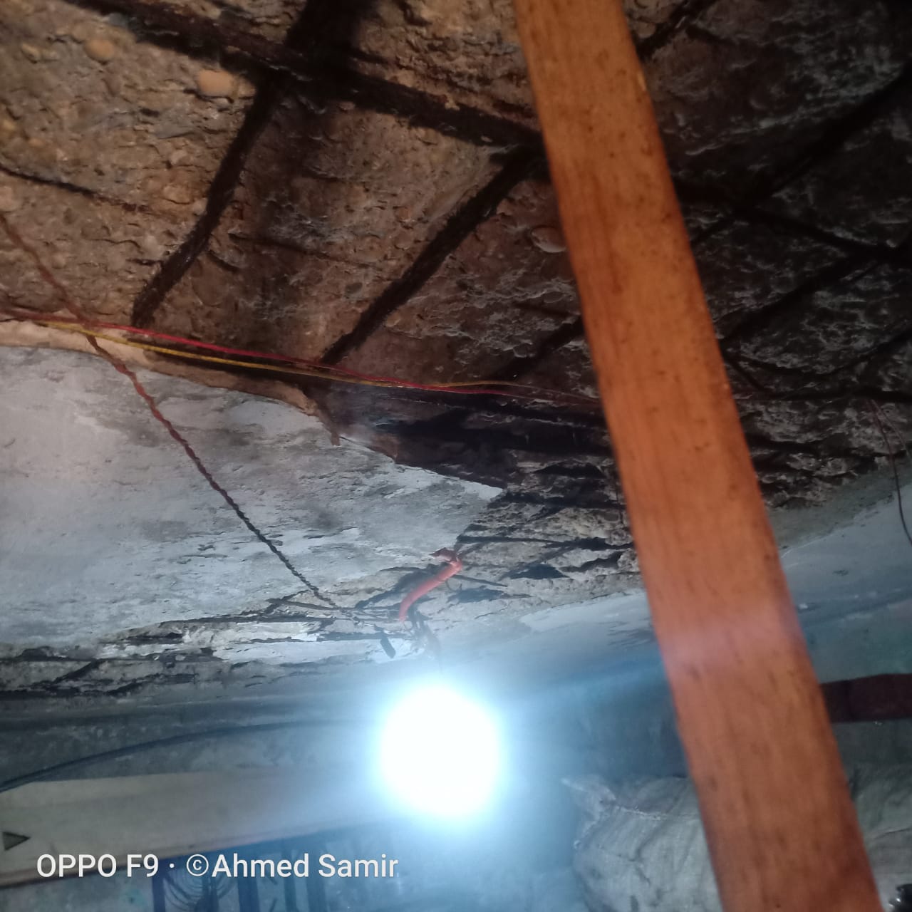  تجميع أحد السكان للقمامة بمنزله  (10)