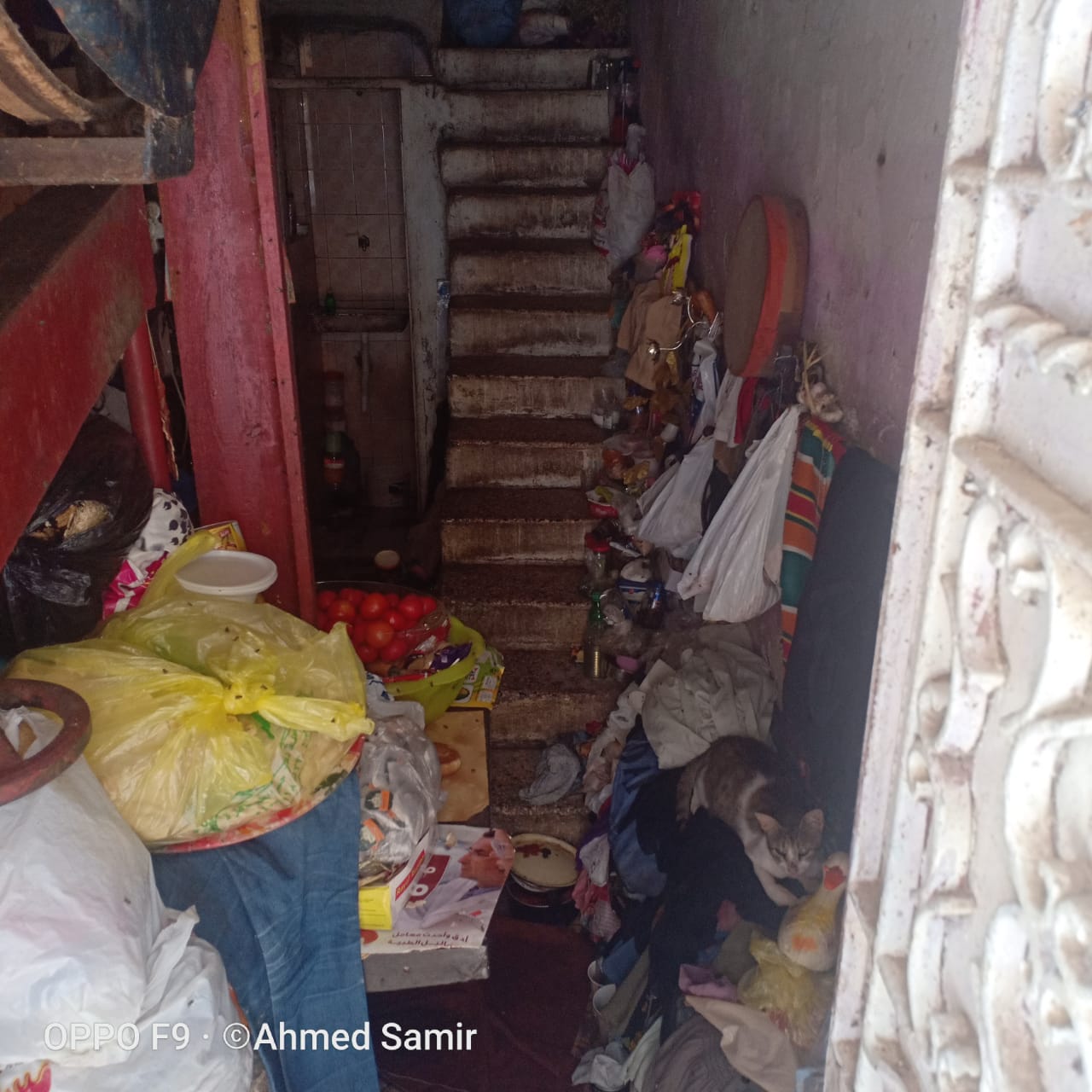  تجميع أحد السكان للقمامة بمنزله  (3)