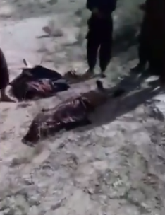 جثث المهاجرين الافغان