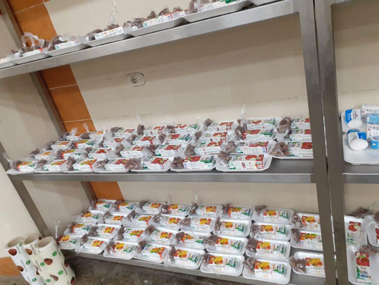 نقل 596 شخص عائدين من الخارج إلى المدن الجامعية بكفر الشيخ  (24)