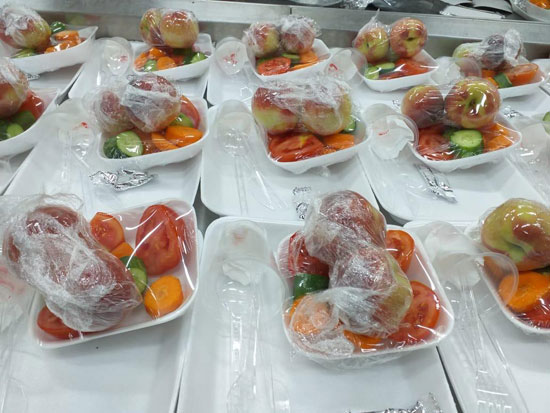 نقل 596 شخص عائدين من الخارج إلى المدن الجامعية بكفر الشيخ  (6)