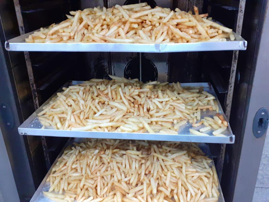 نقل 596 شخص عائدين من الخارج إلى المدن الجامعية بكفر الشيخ  (20)