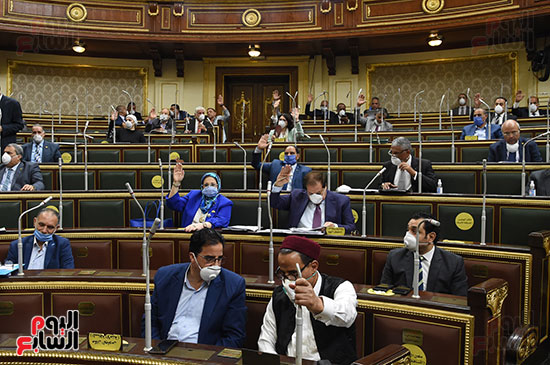 مجلس النواب (8)