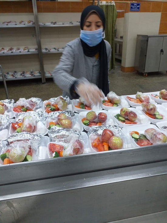 نقل 596 شخص عائدين من الخارج إلى المدن الجامعية بكفر الشيخ  (2)