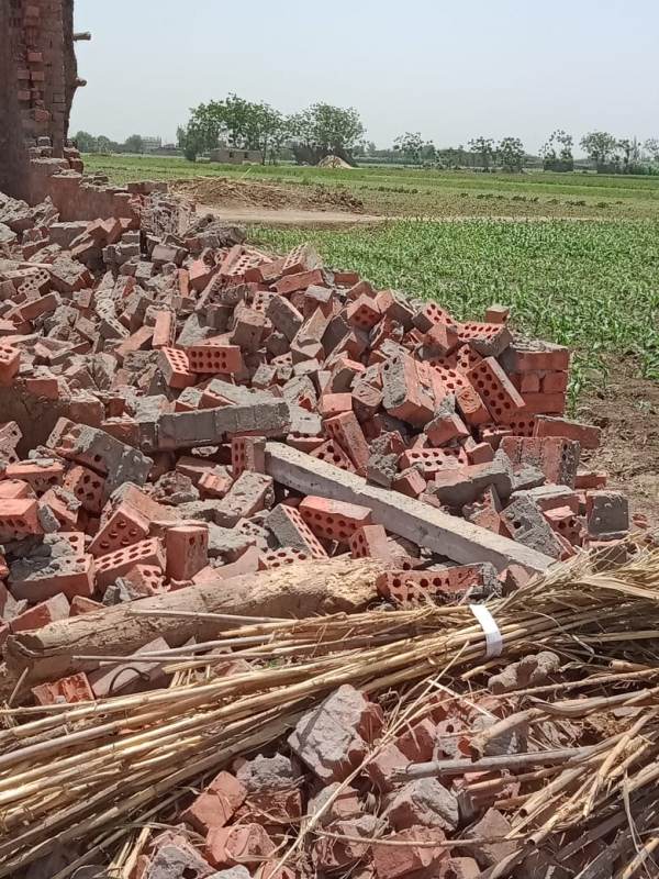 إزالة التعديات على الأراضى الزراعية بالمنوفية (1)