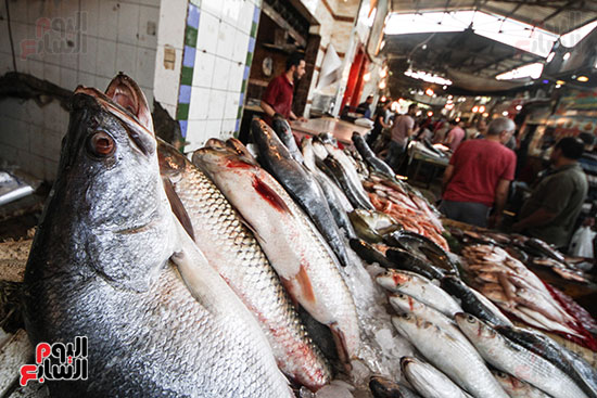 سوق السمك  فى رمضان