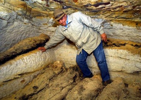 الدكتور زاهى حواس خلال الكشف الدكتور زاهى حواس خلال الكشف