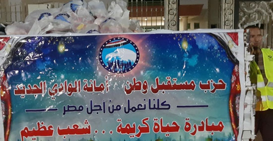 حزب مستقبل وطن (2)