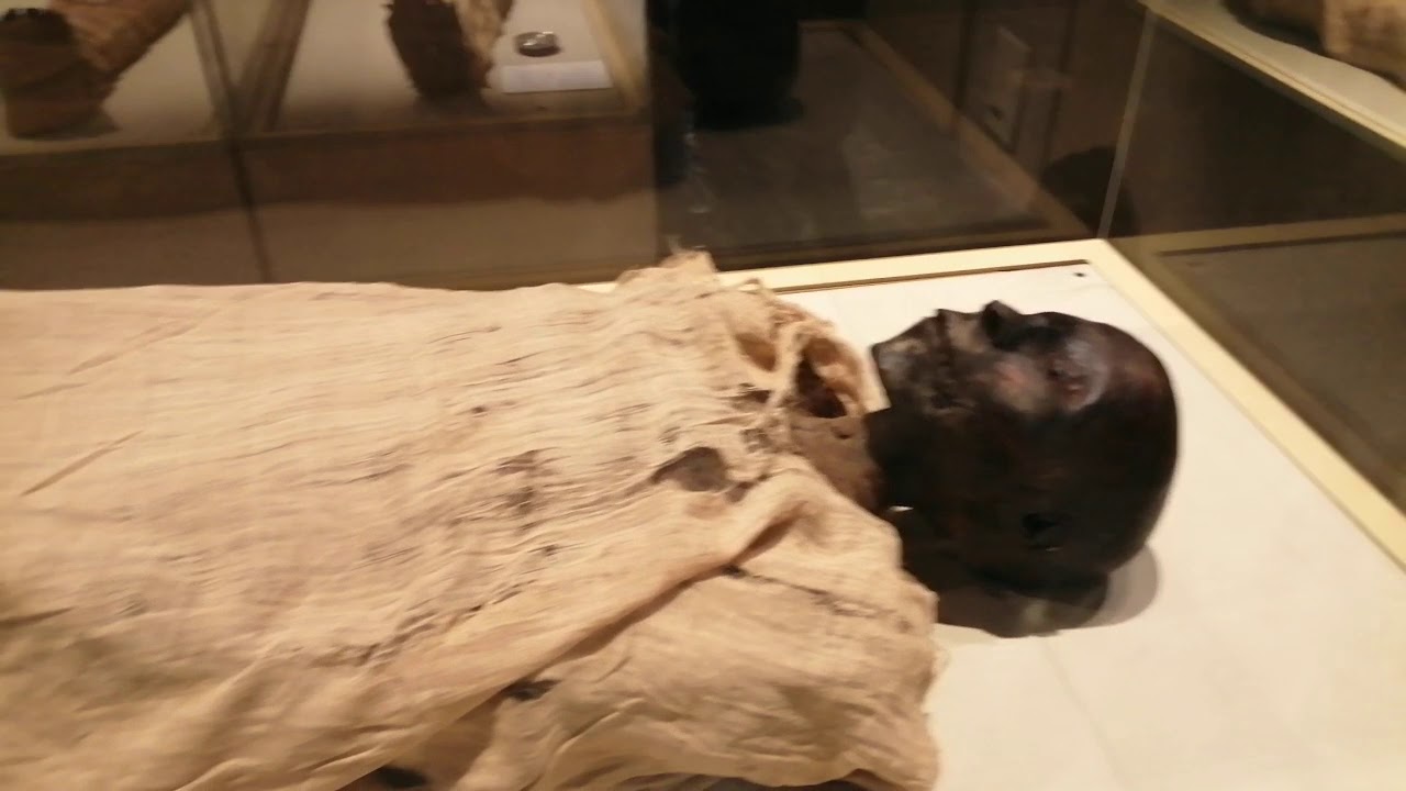 مومياء تحتمس الأول