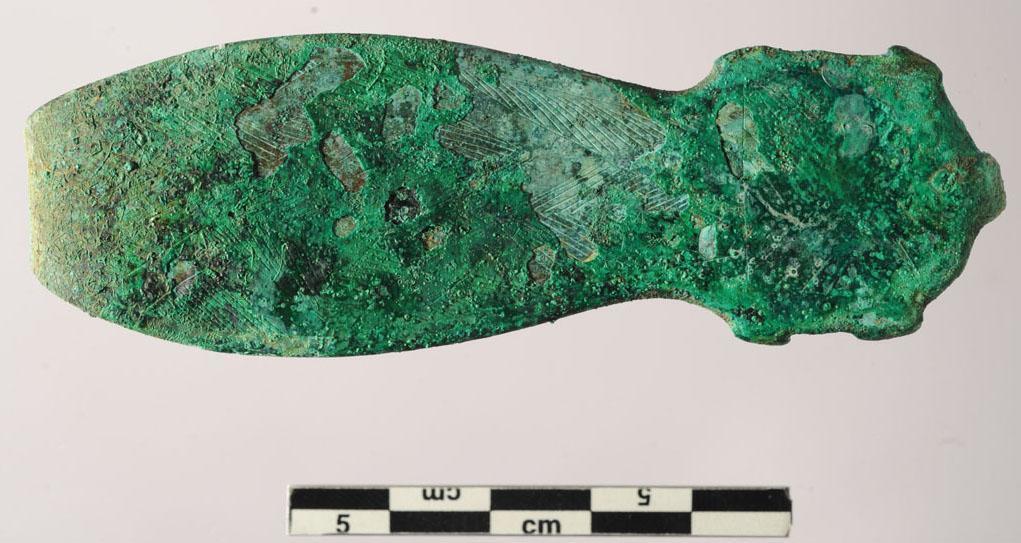 جانب من الكشف (3)