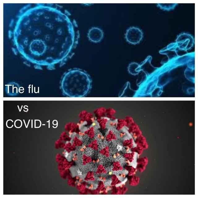 فيروس الانفلونزا وكورونا