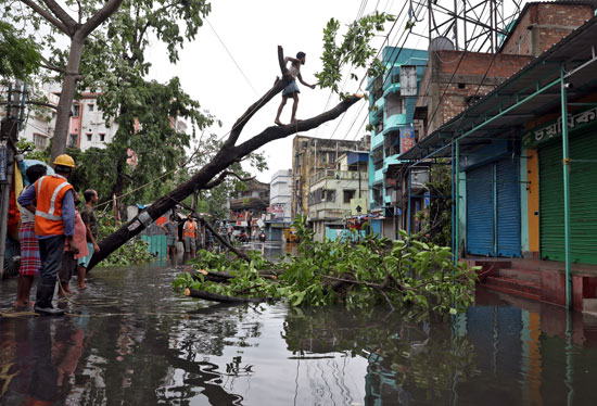 رجل يقطع فروع شجرة اقتلع بعد أن وصل إعصار أمفان إلى اليابسة