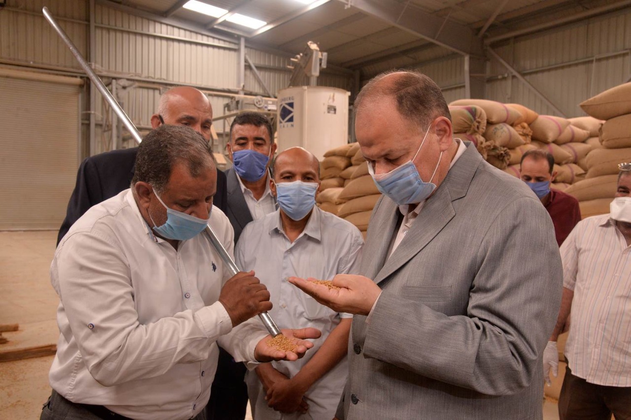 توريد القمح باسيوط (2)