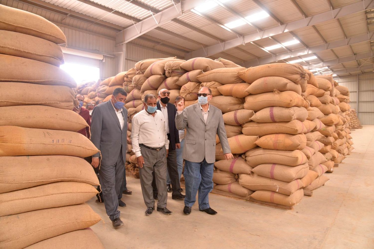 توريد القمح باسيوط (3)