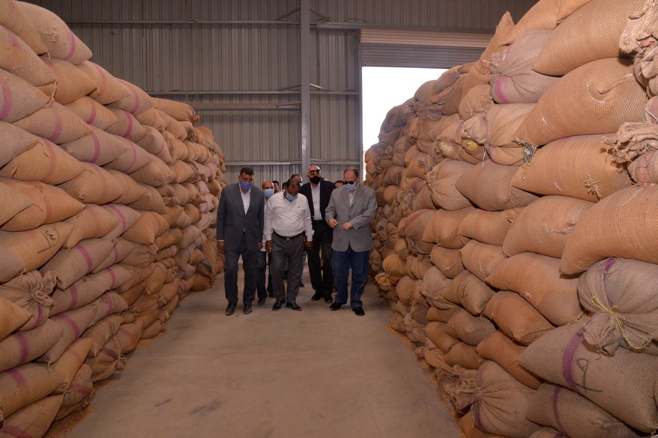 توريد القمح باسيوط (1)