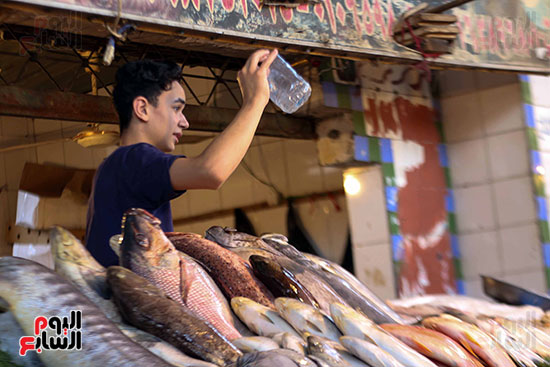 سوق السمك (4)