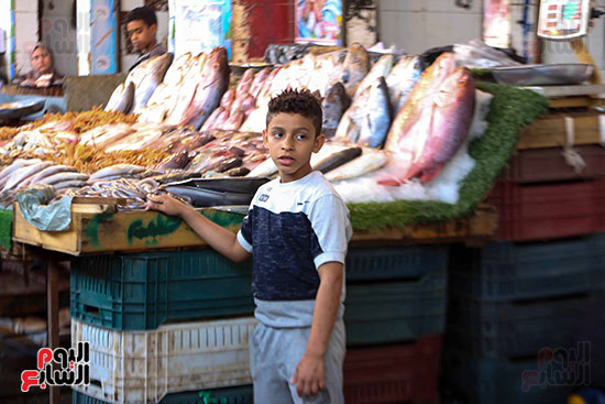 الاقبال على سوق السمك قبل العيد (2)