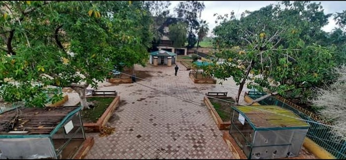 غلق حديقة الحيوان وصنعاء وخلوها من المواطنين (9)