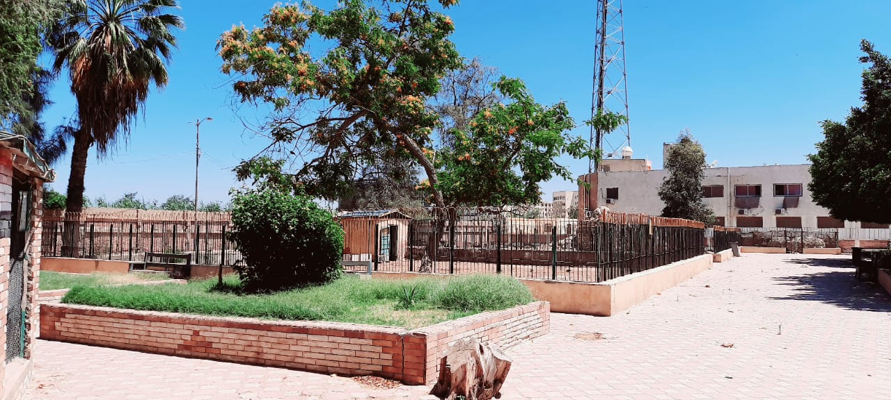 غلق حديقة الحيوان وصنعاء وخلوها من المواطنين (6)