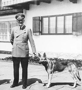 بلوندي (كلبة هتلر)