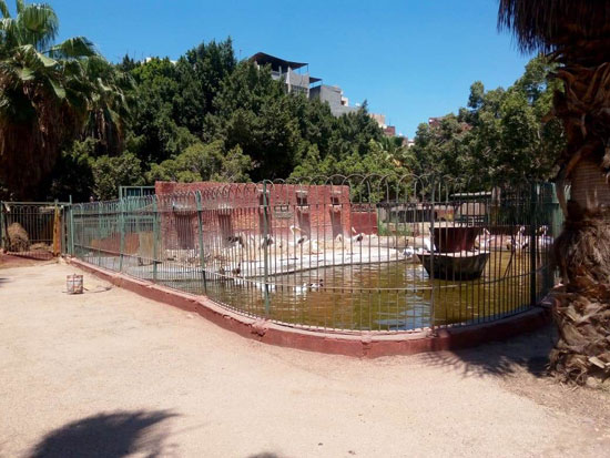 حديقة الحيوان بالزقازيق مغلقة بسبب فيروس الكورونا (3)