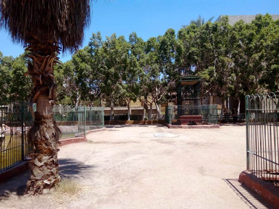 حديقة الحيوان بالزقازيق مغلقة بسبب فيروس الكورونا (5)