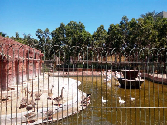 حديقة الحيوان بالزقازيق مغلقة بسبب فيروس الكورونا (2)