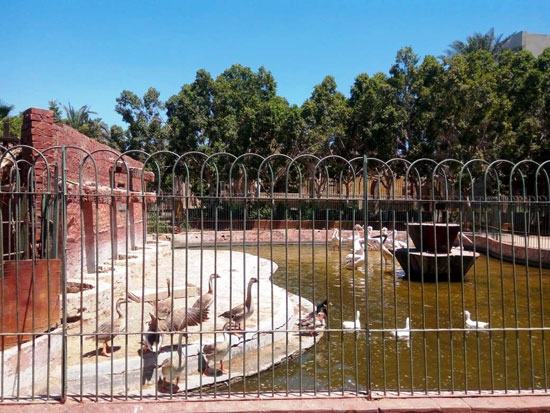 حديقة الحيوان بالزقازيق مغلقة بسبب فيروس الكورونا (7)