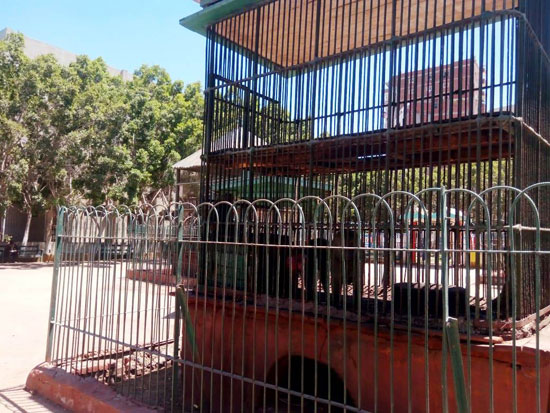 حديقة الحيوان بالزقازيق مغلقة بسبب فيروس الكورونا (4)