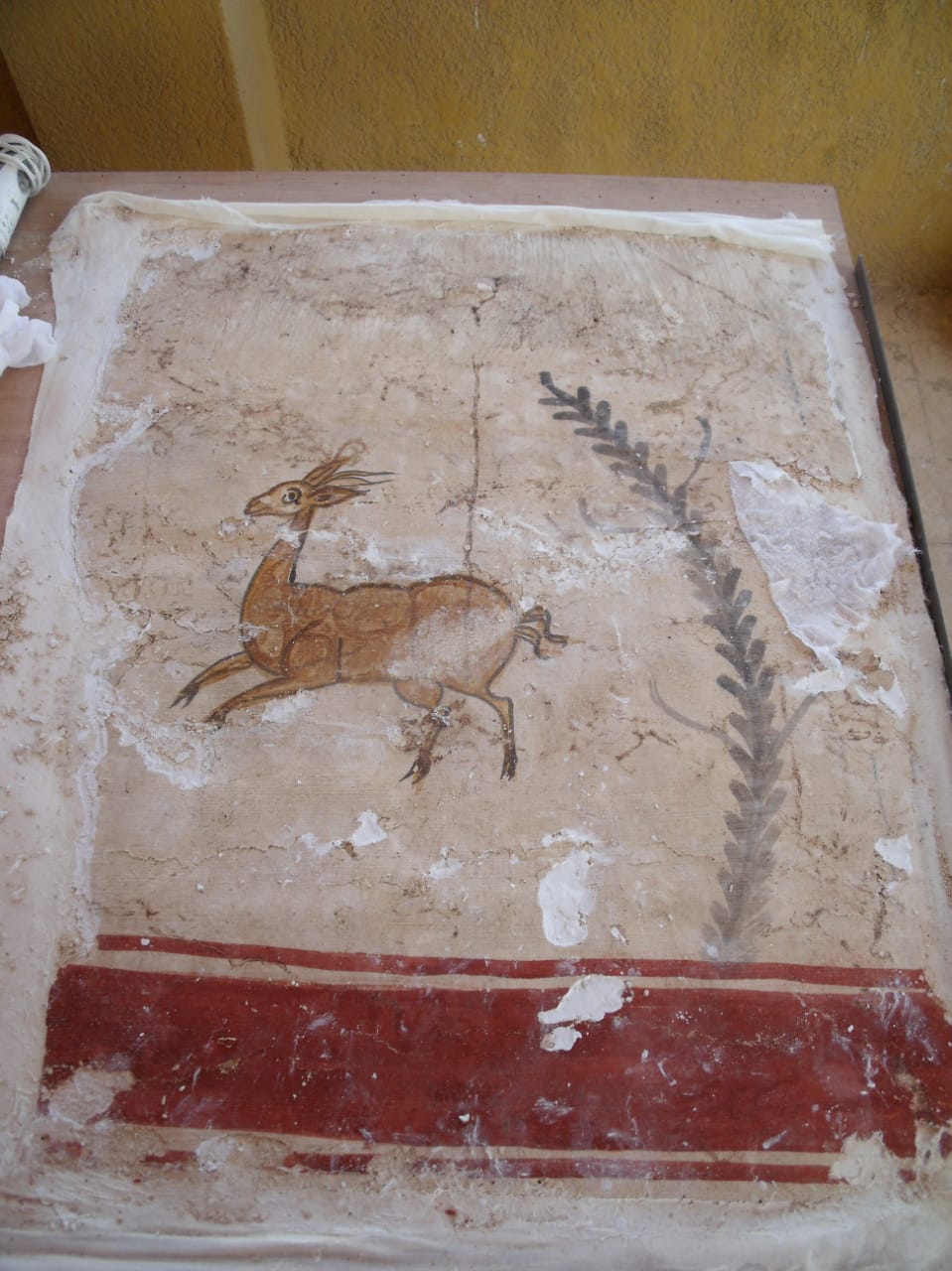 الكشف عن مقبرة فريدة ترجع للعصر الصاوي  (1)