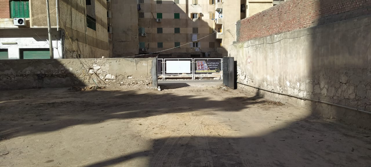 الحديقة الخلفية