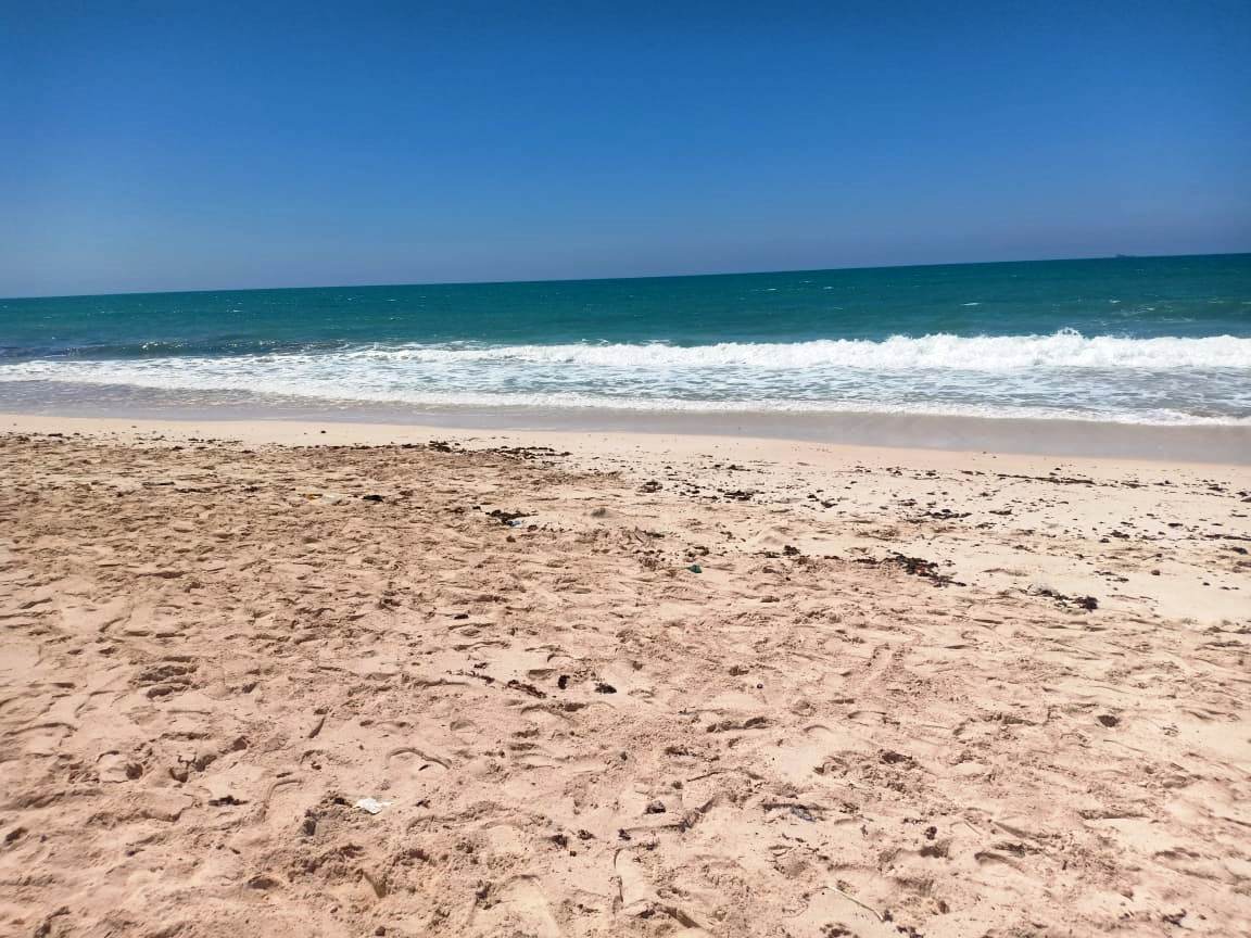 الحياة فى زمن كورونا..شواطىء الساحل الشمالى خالية من المواطنين (11)